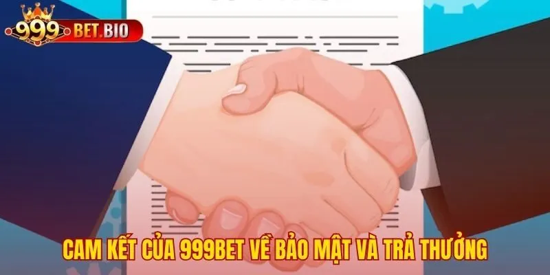 Cam kết bảo mật SSL 256-bit và trả thưởng minh bạch