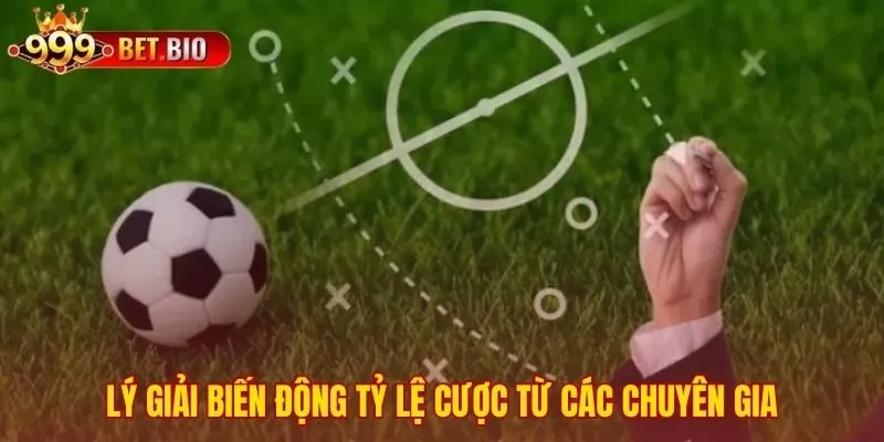 Hiểu nguyên nhân thay đổi tỷ lệ cược từ nhà cái