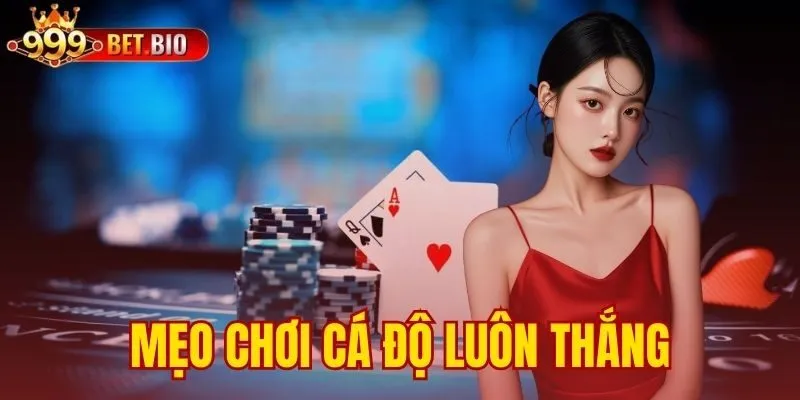 meo-choi-ca-do-luon-thang-bi-kip-giup-han-che-trang-tay